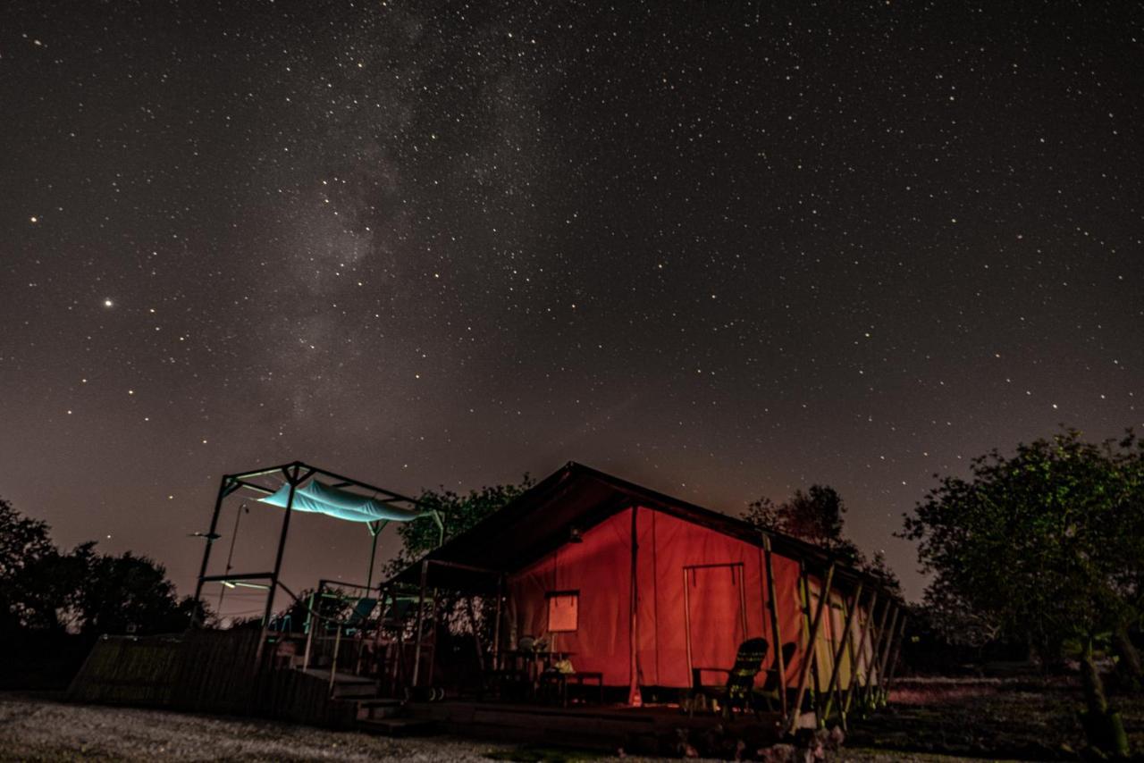 Ses Quinta Luxury Safari Tents Paderne (Faro) Exterior foto